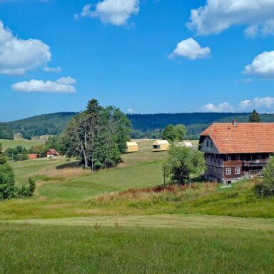 Tiny Natur Ferien Schwarzwald 01
