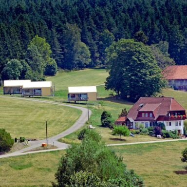 Tiny Natur Ferien Schwarzwald 13