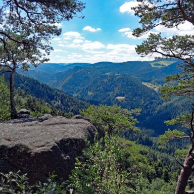 Natur Ferien Berge 07