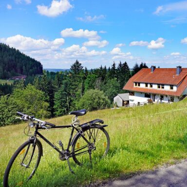 Natur Ferien Fahhrad 02