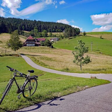 Natur Ferien Fahhrad 04