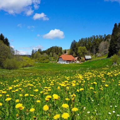 Natur Ferien Wandern 01
