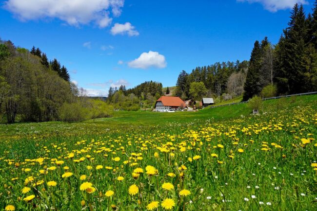 Natur Ferien Wandern 01