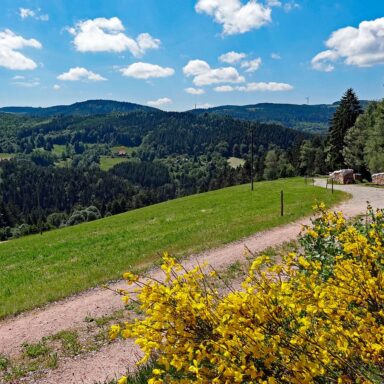 Natur Ferien Wandern 02