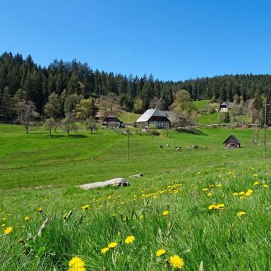 Natur Ferien Wandern 03