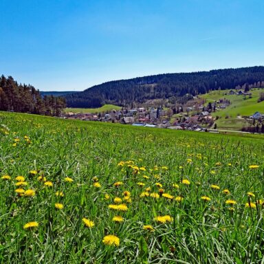 Natur Ferien Wandern 05