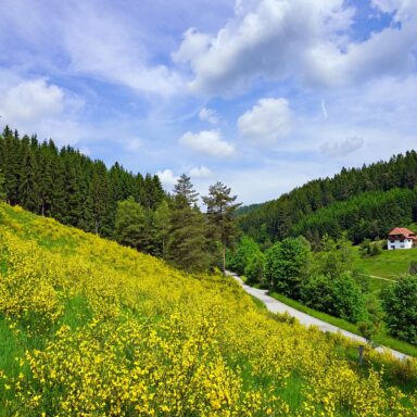 Natur Ferien Wandern 07