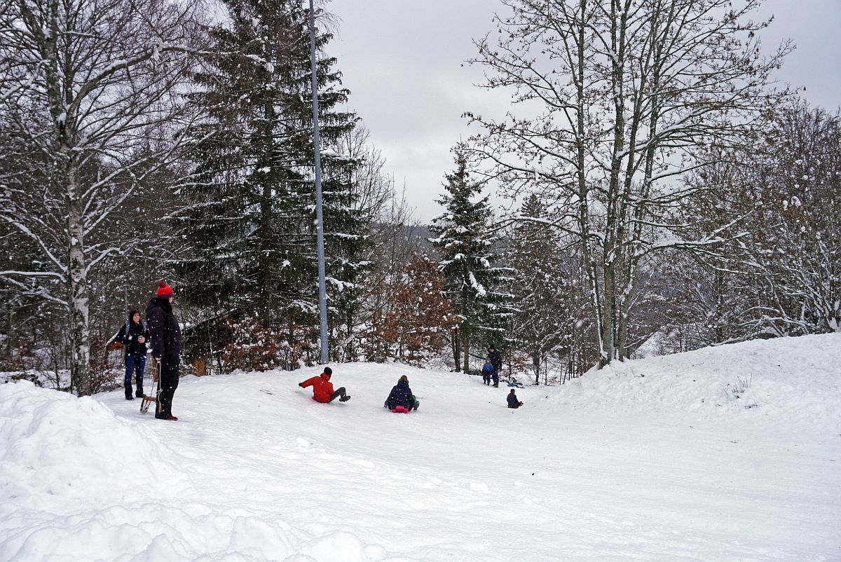 Natur Ferien Wintersport 01