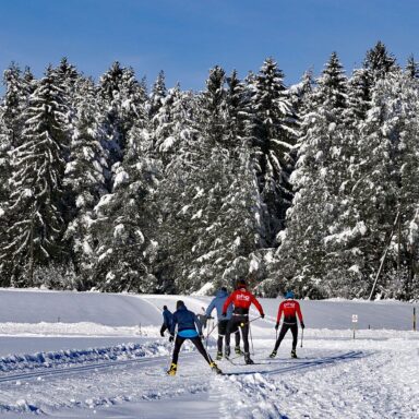 Natur Ferien Wintersport 02