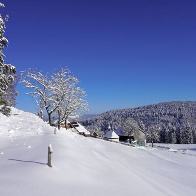 Natur Ferien Wintersport 03 1