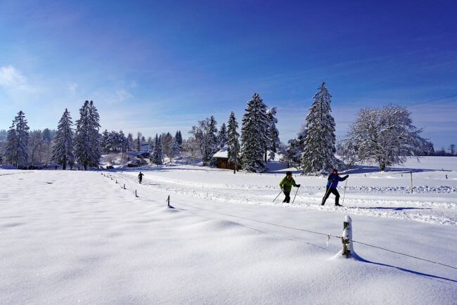 Natur Ferien Wintersport 03