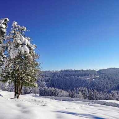 Natur Ferien Wintersport 04 1