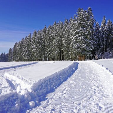 Natur Ferien Wintersport 06