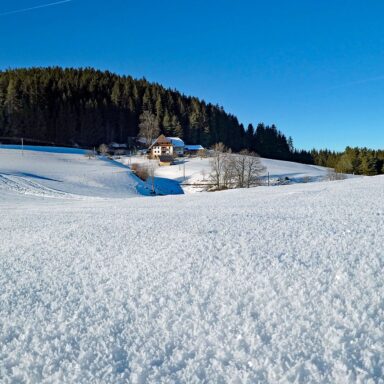 Natur Ferien Wintersport 09 1