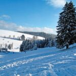 Natur Ferien Wintersport 10